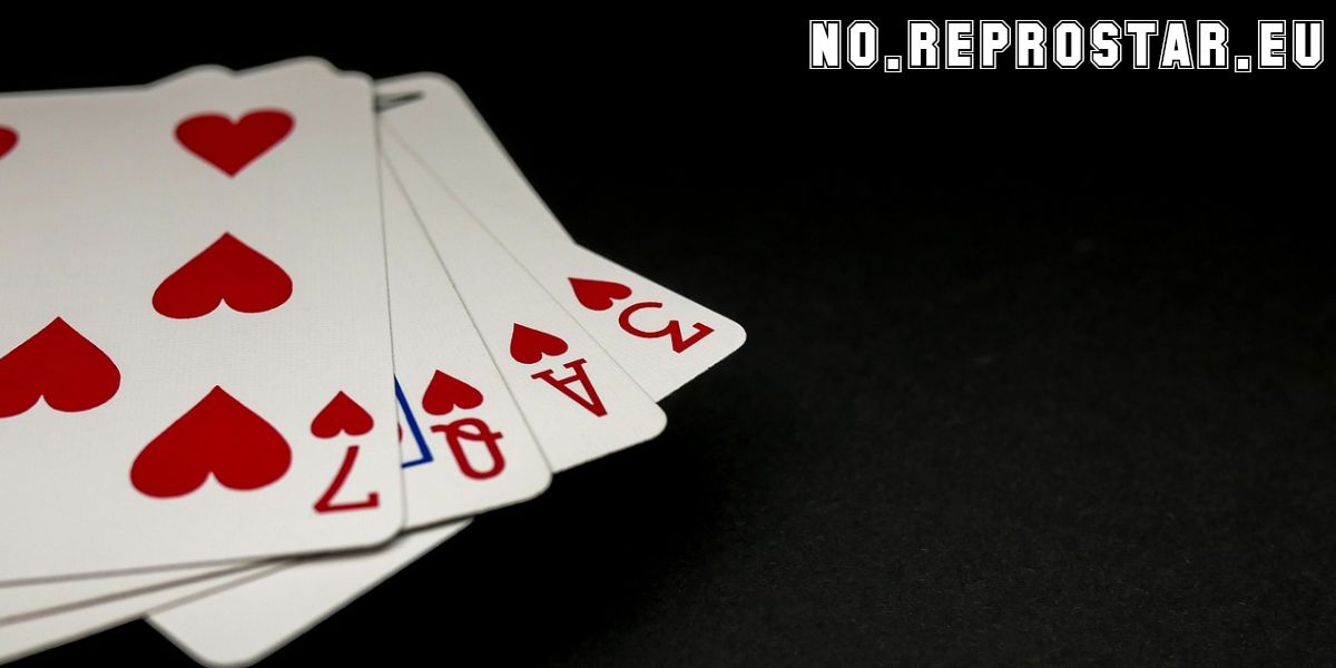 no.reprostar.eu